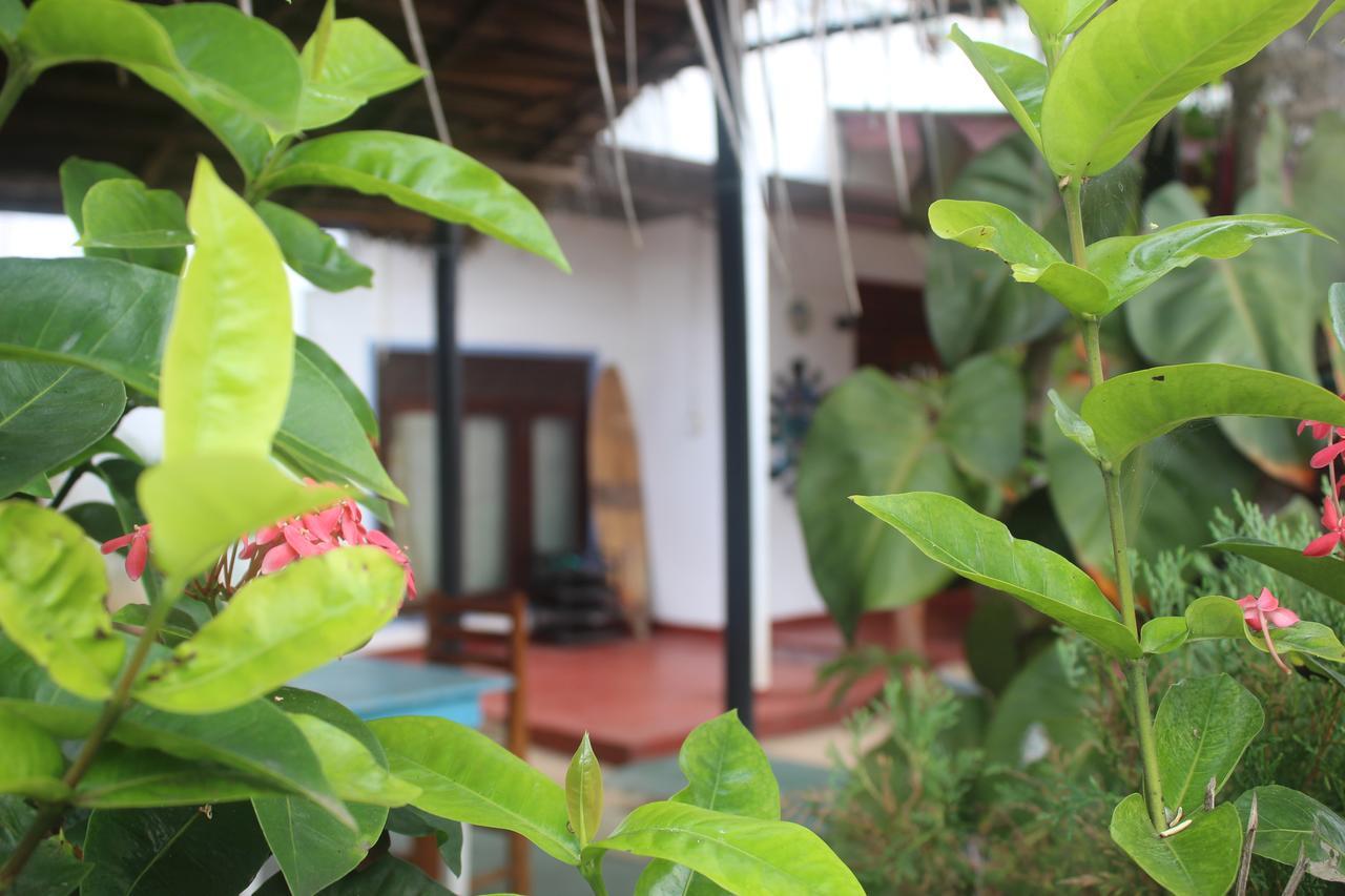 Julie Guest House Tangalle Eksteriør bilde