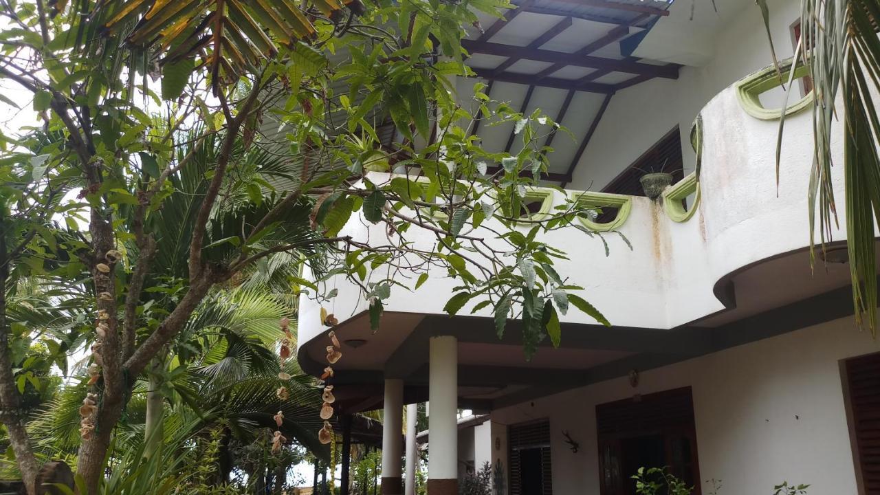 Julie Guest House Tangalle Eksteriør bilde